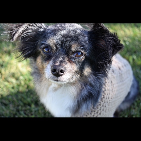 HI! I’m Hannah!! - Picture 6 of 6